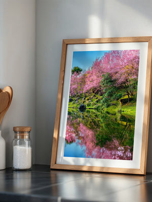 Blüten Spiegelung Frühling