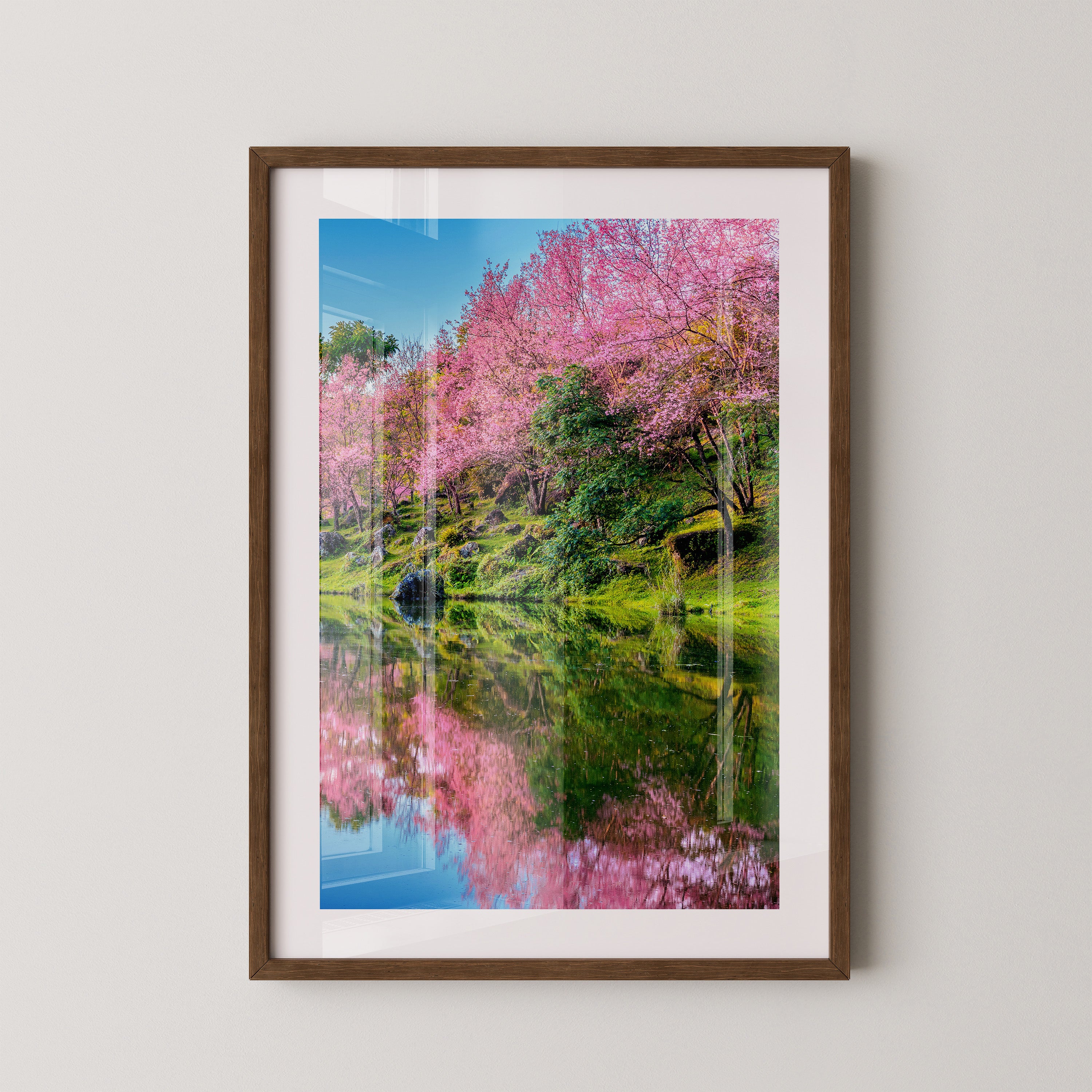 Blüten Spiegelung Frühling