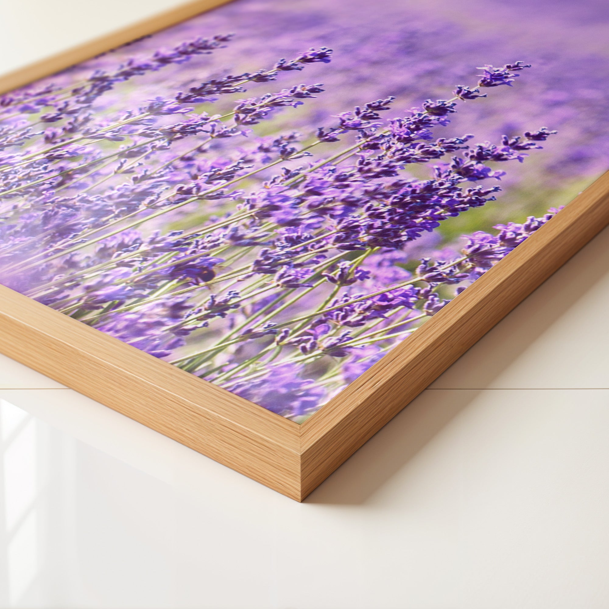 Lavendelfeld lila Blütenmeer