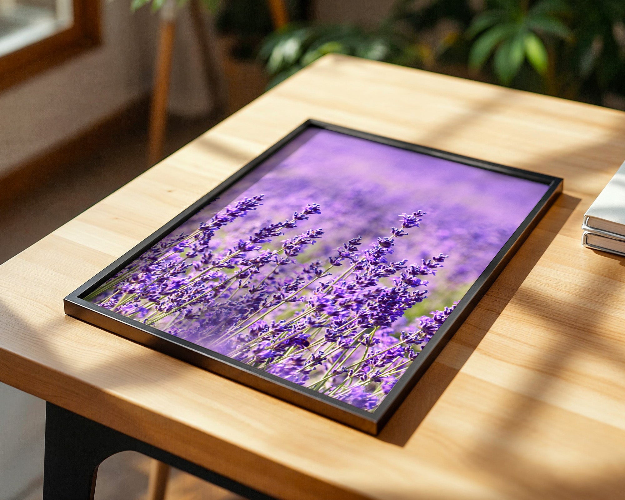 Lavendelfeld lila Blütenmeer