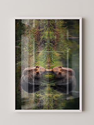 Bären Spiegelung Naturkunst