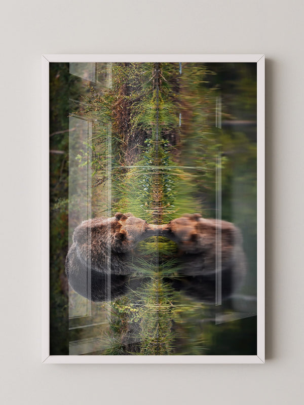 Bären Spiegelung Naturkunst