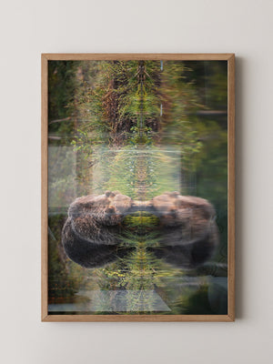 Bären Spiegelung Naturkunst