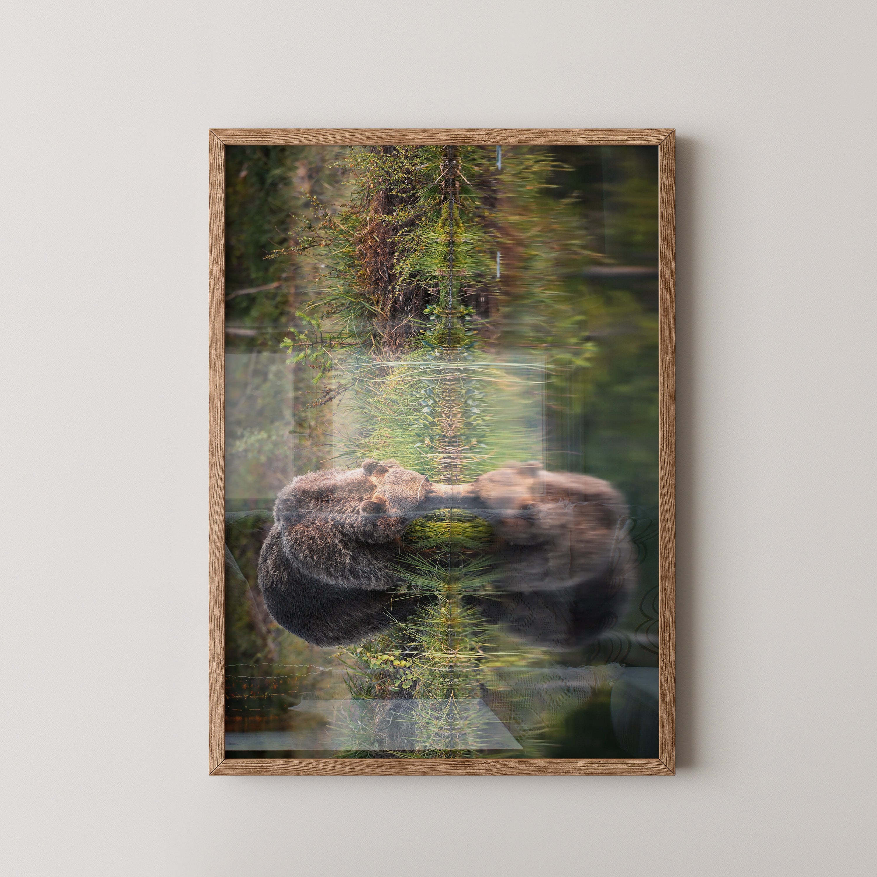 Bären Spiegelung Naturkunst