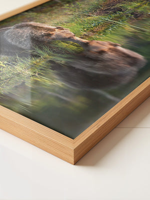 Bären Spiegelung Naturkunst