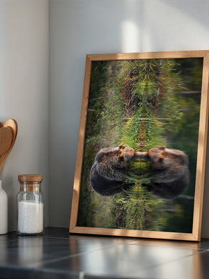 Bären Spiegelung Naturkunst