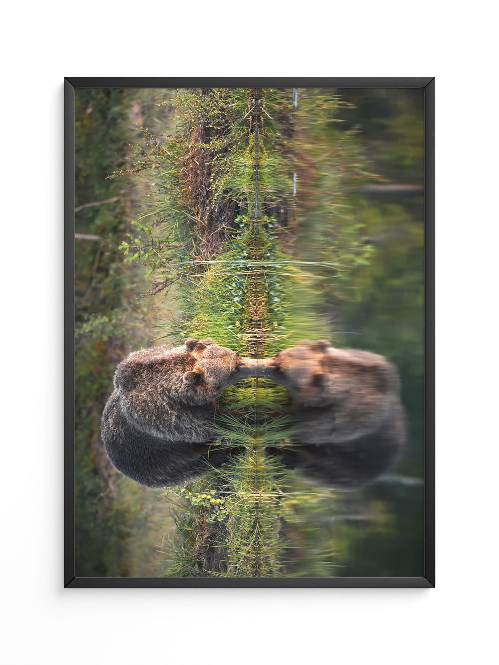 Bären Spiegelung Naturkunst