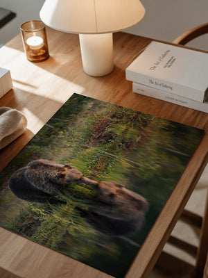 Bären Spiegelung Naturkunst