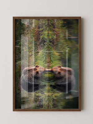 Bären Spiegelung Naturkunst