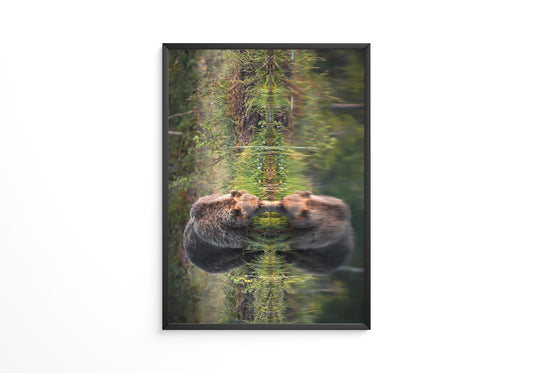 Bären Spiegelung Naturkunst
