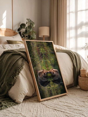 Bären Spiegelung Naturkunst