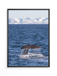 Walflosse Ozean Berge