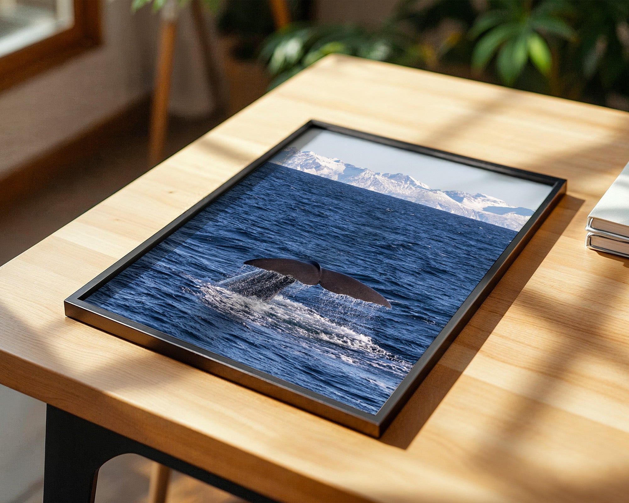 Walflosse Ozean Berge