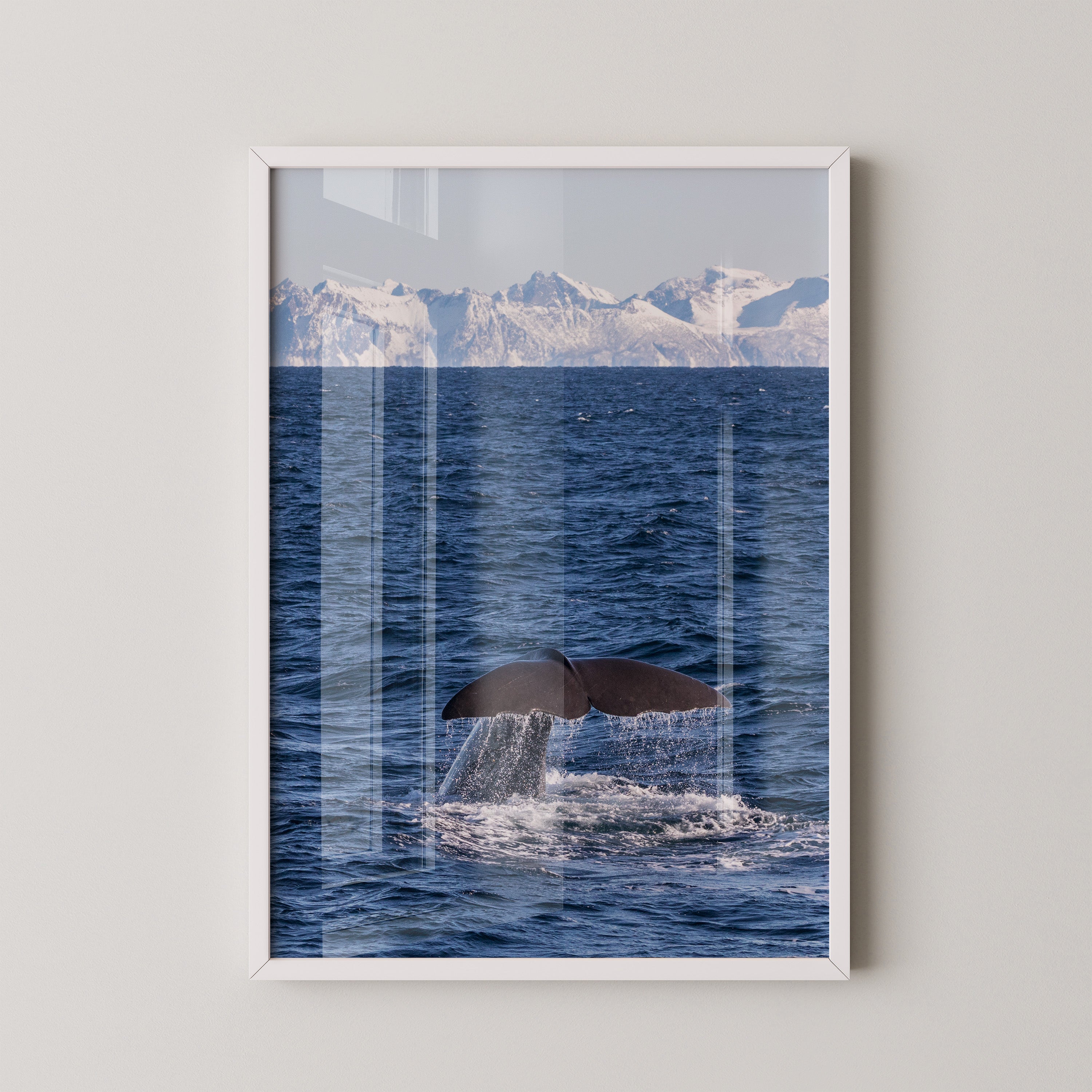 Walflosse Ozean Berge