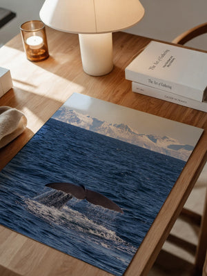 Walflosse Ozean Berge