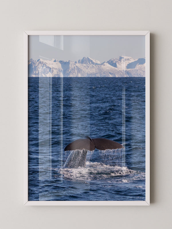 Walflosse Ozean Berge