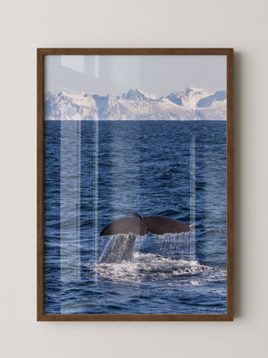 Walflosse Ozean Berge