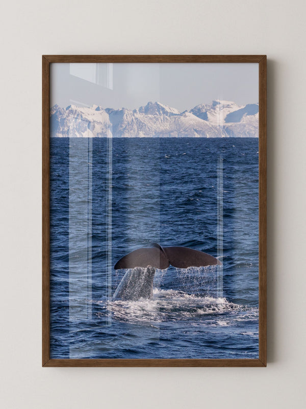 Walflosse Ozean Berge