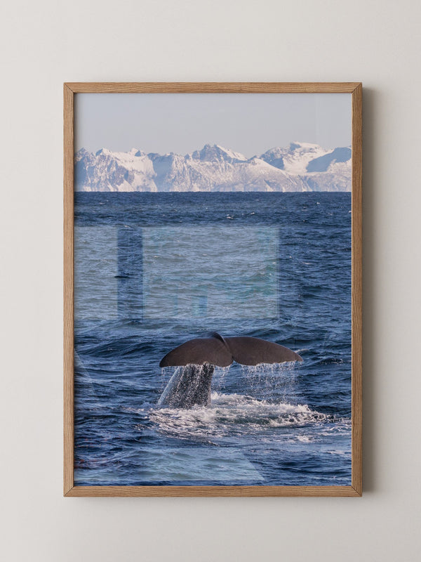 Walflosse Ozean Berge