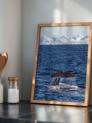 Walflosse Ozean Berge