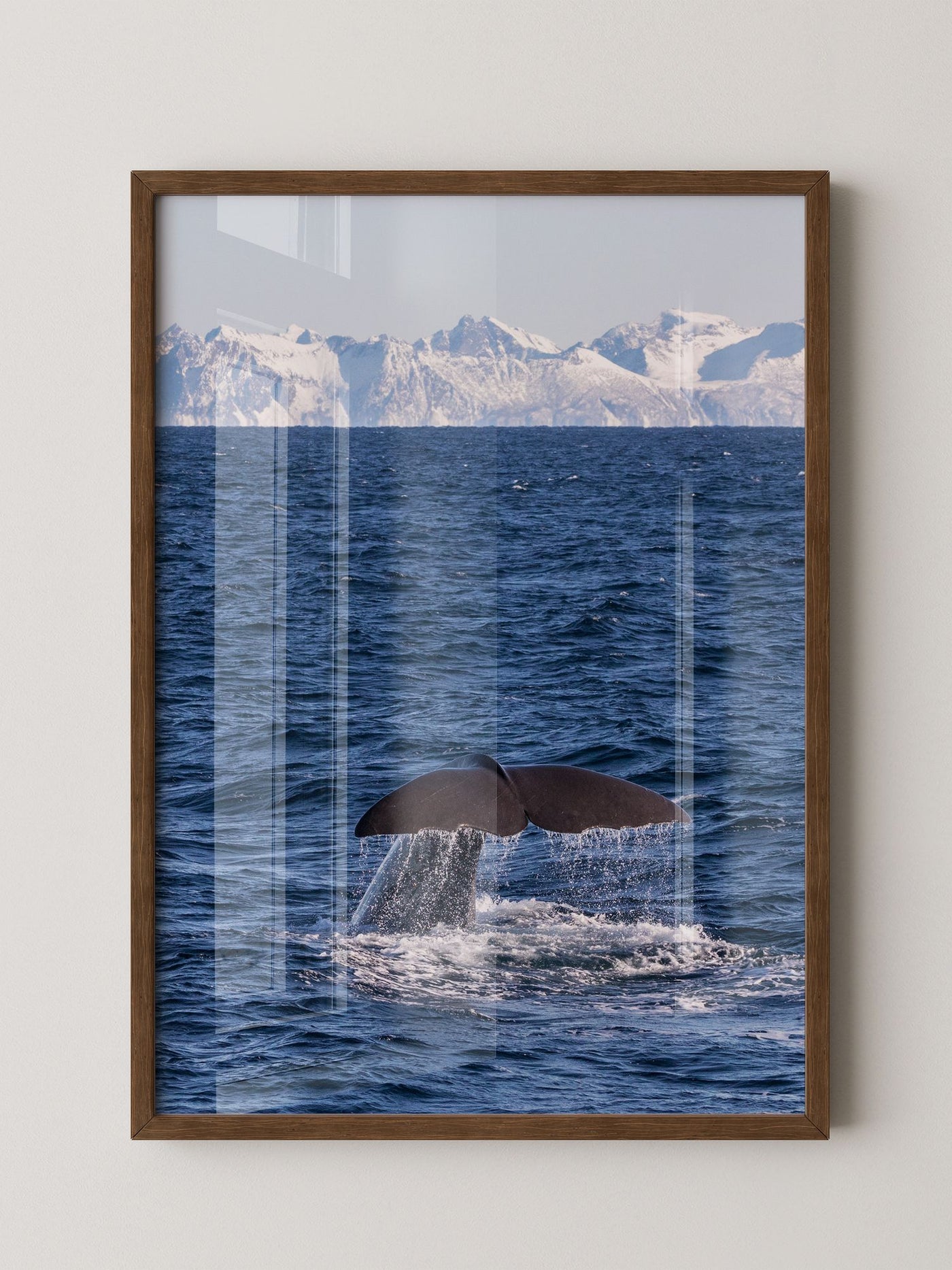 Walflosse Ozean Berge