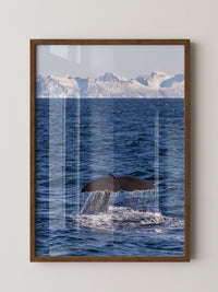 Walflosse Ozean Berge