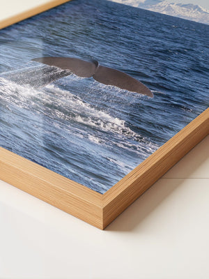 Walflosse Ozean Berge