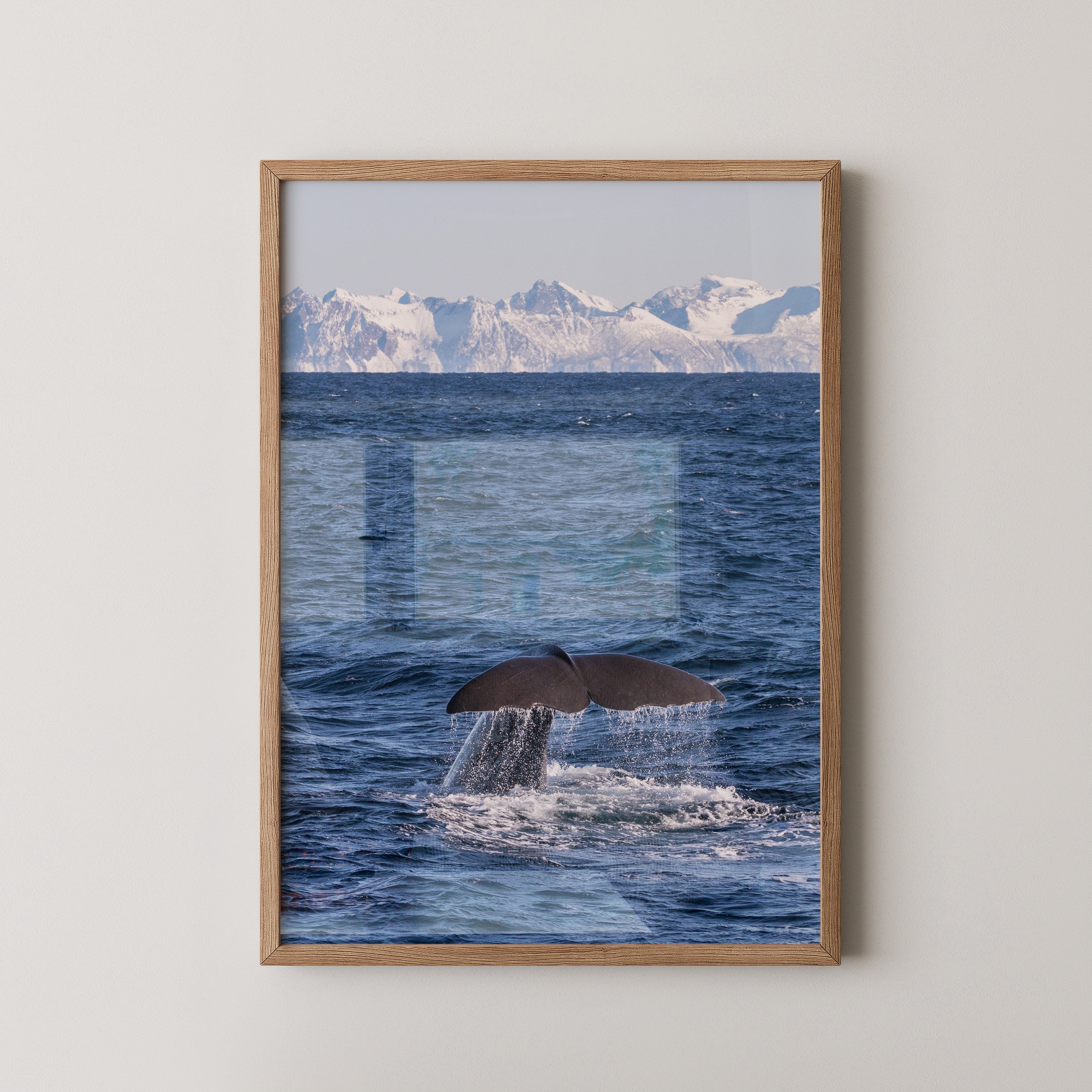 Walflosse Ozean Berge