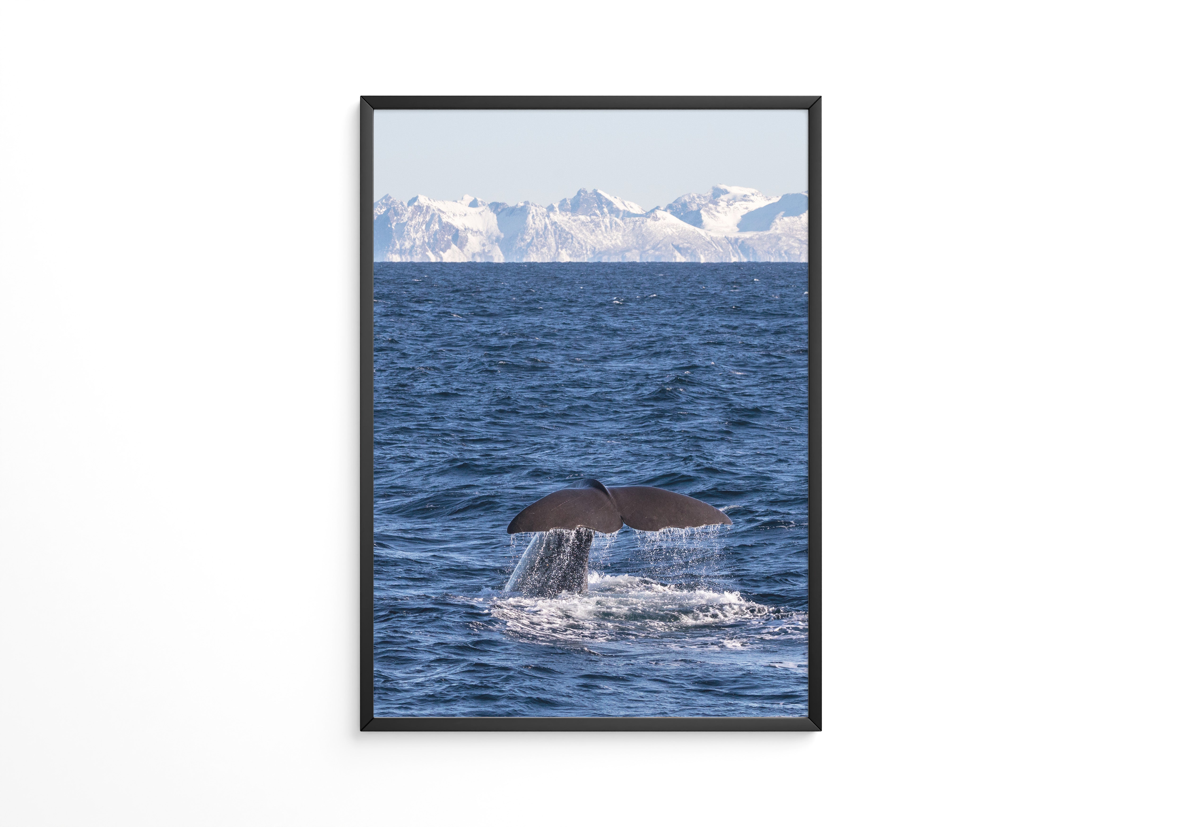 Walflosse Ozean Berge