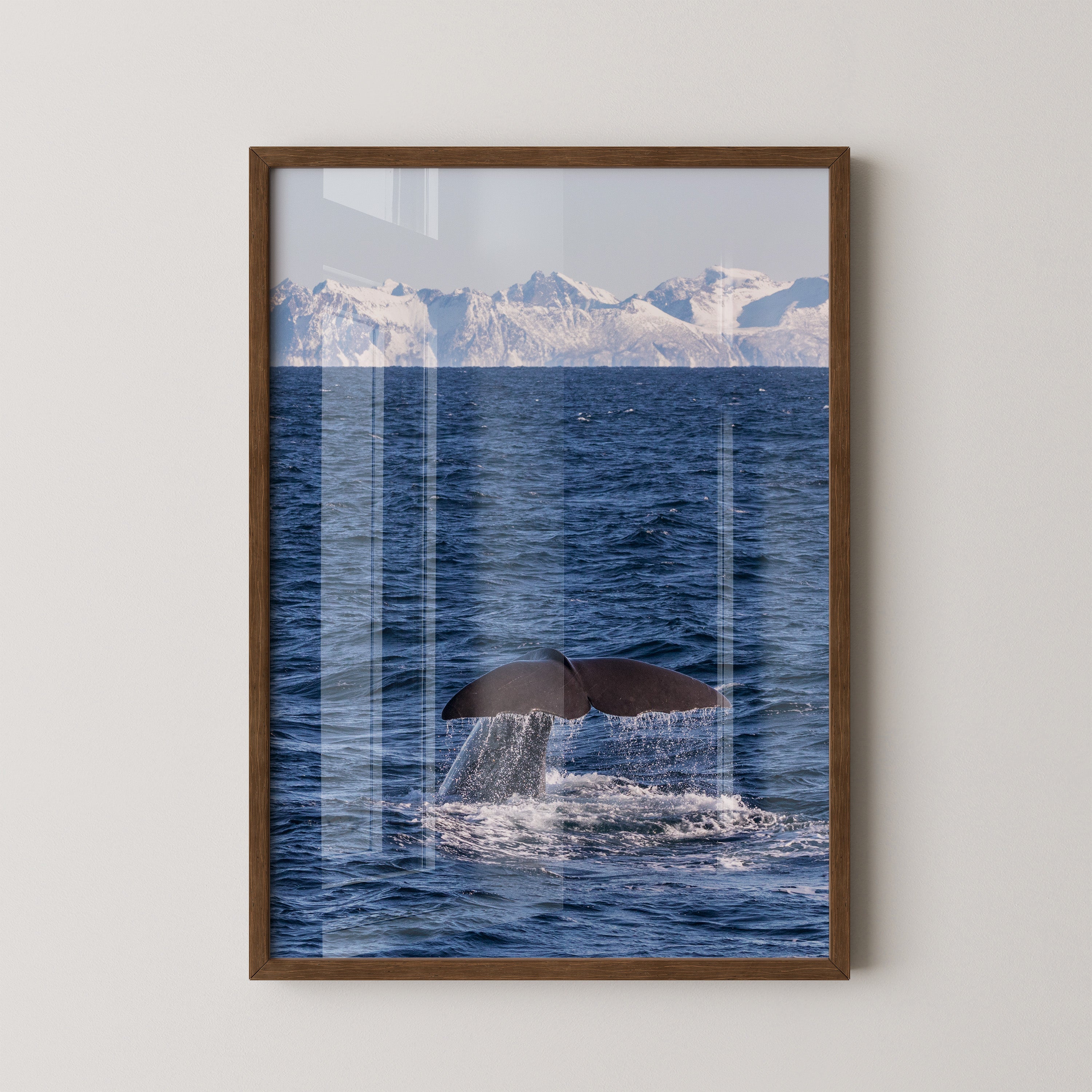 Walflosse Ozean Berge