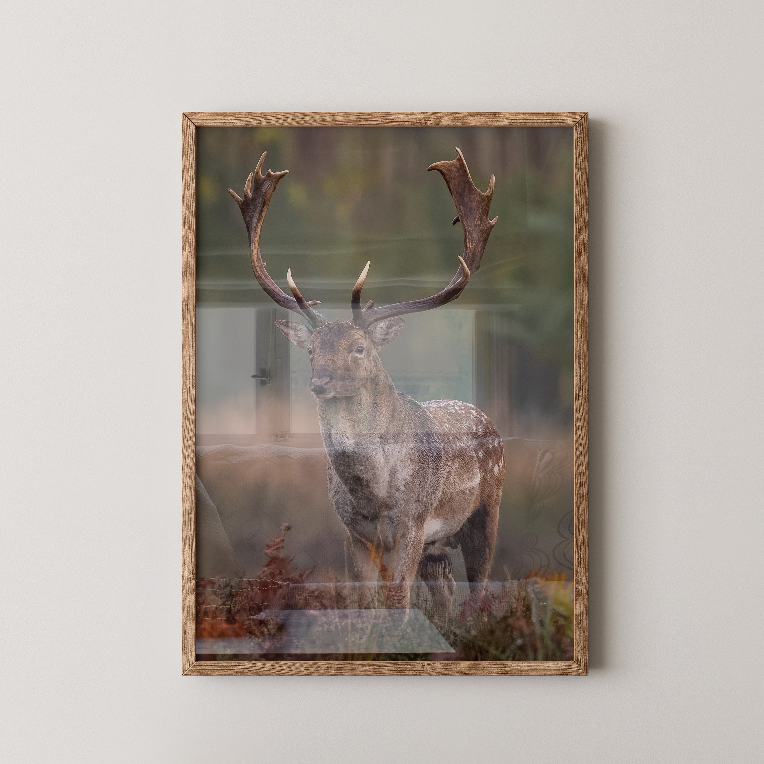 Hirsch im Nebel Waldstimmung