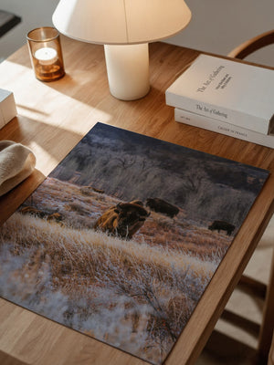 Bison Winterlandschaft Frost