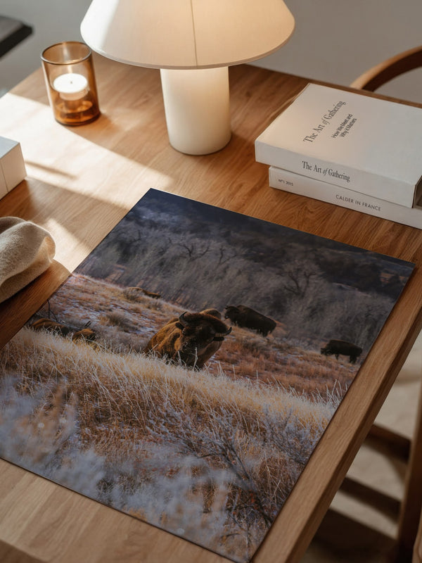 Bison Winterlandschaft Frost