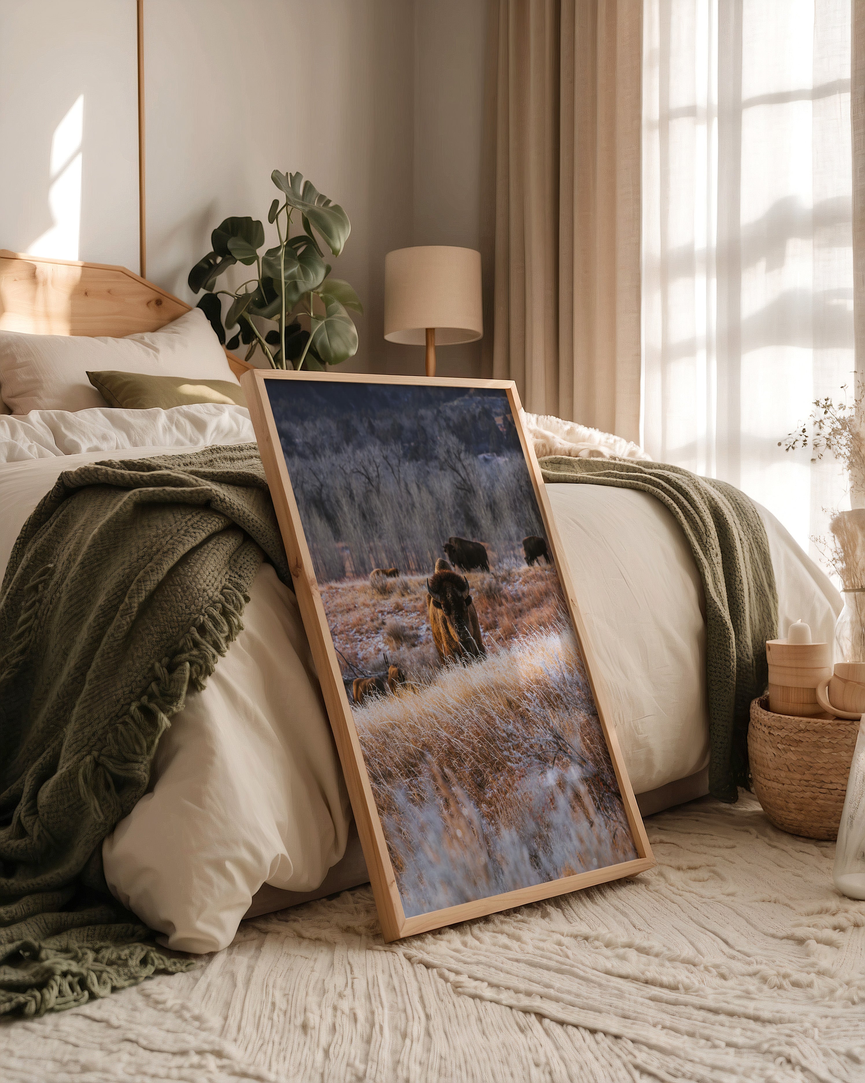 Bison Winterlandschaft Frost