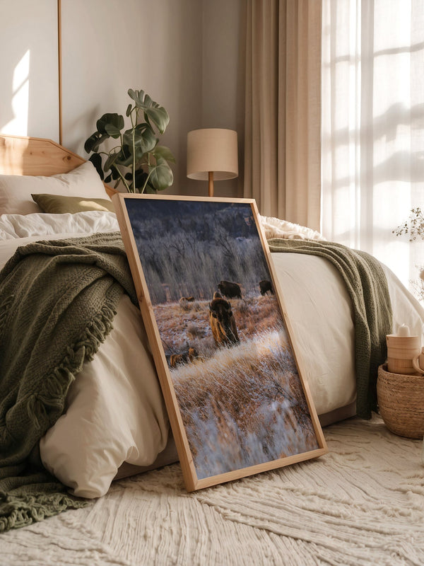 Bison Winterlandschaft Frost