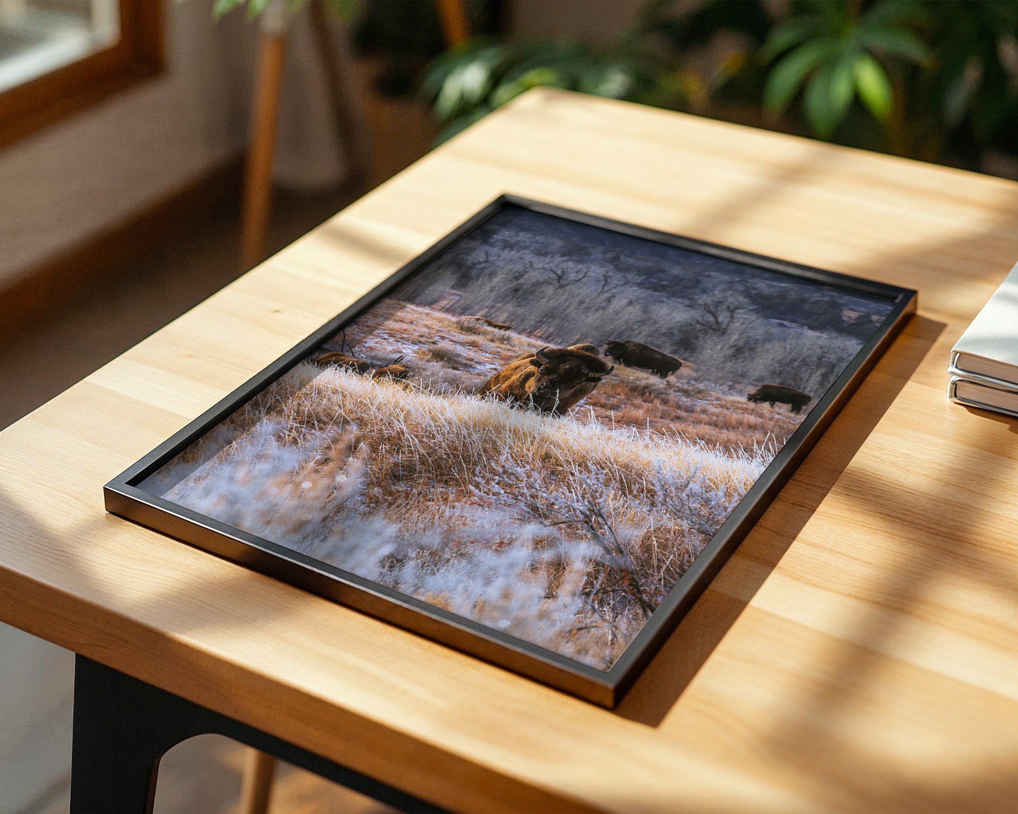 Bison Winterlandschaft Frost