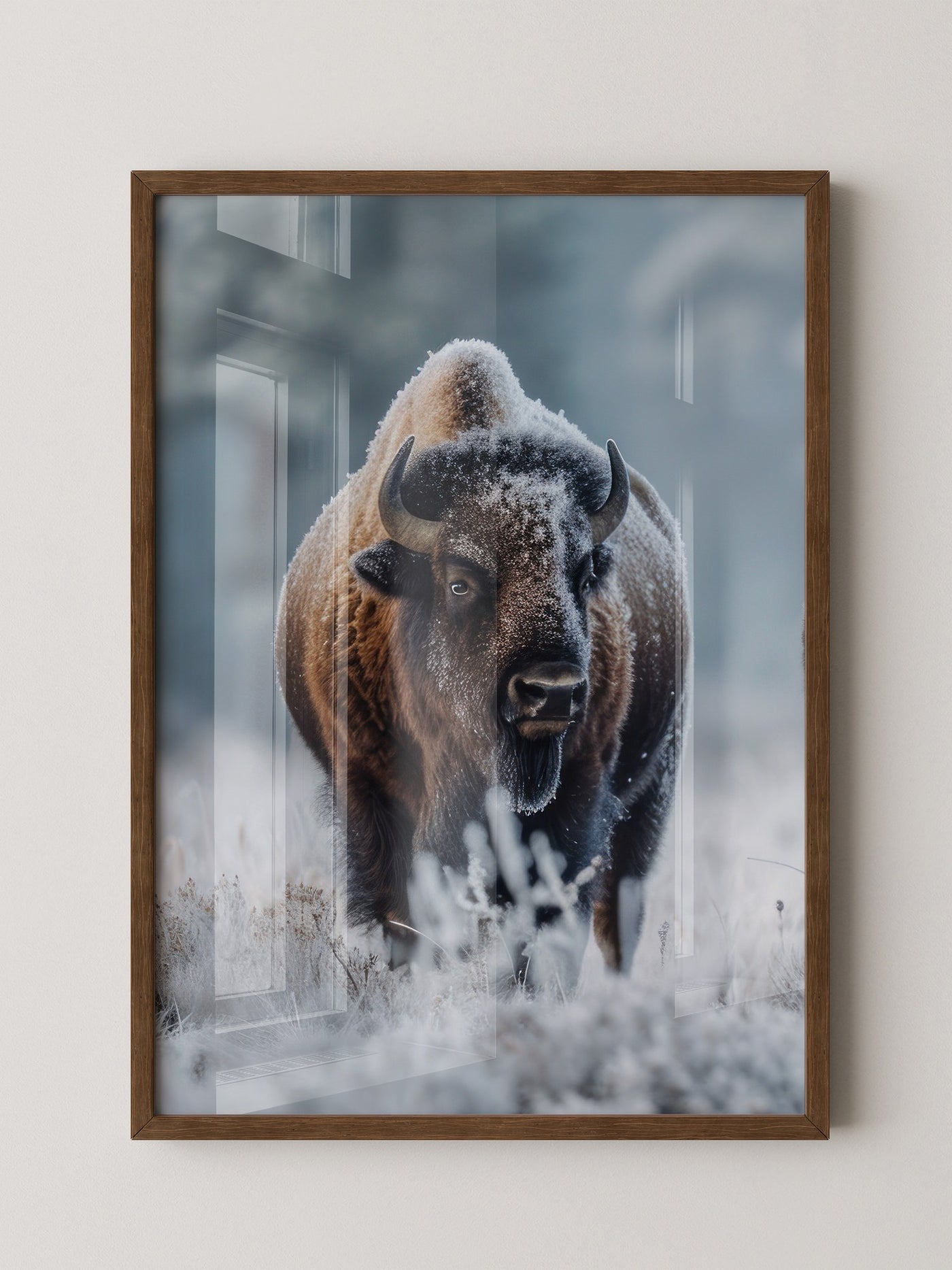 Bison Winterlandschaft Frostig