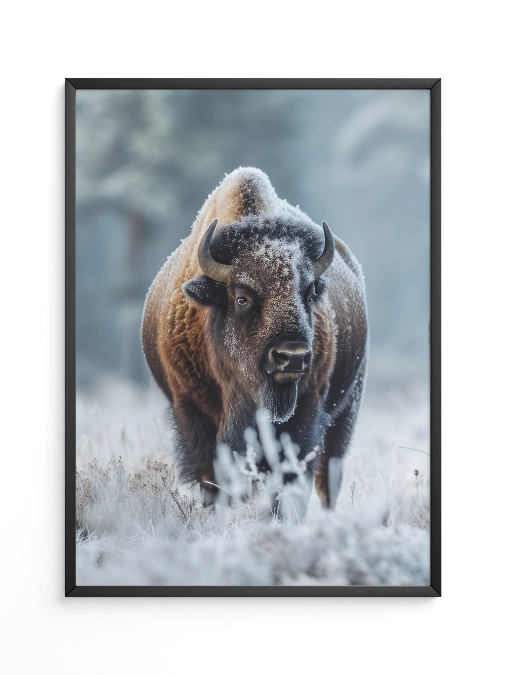 Bison Winterlandschaft Frostig