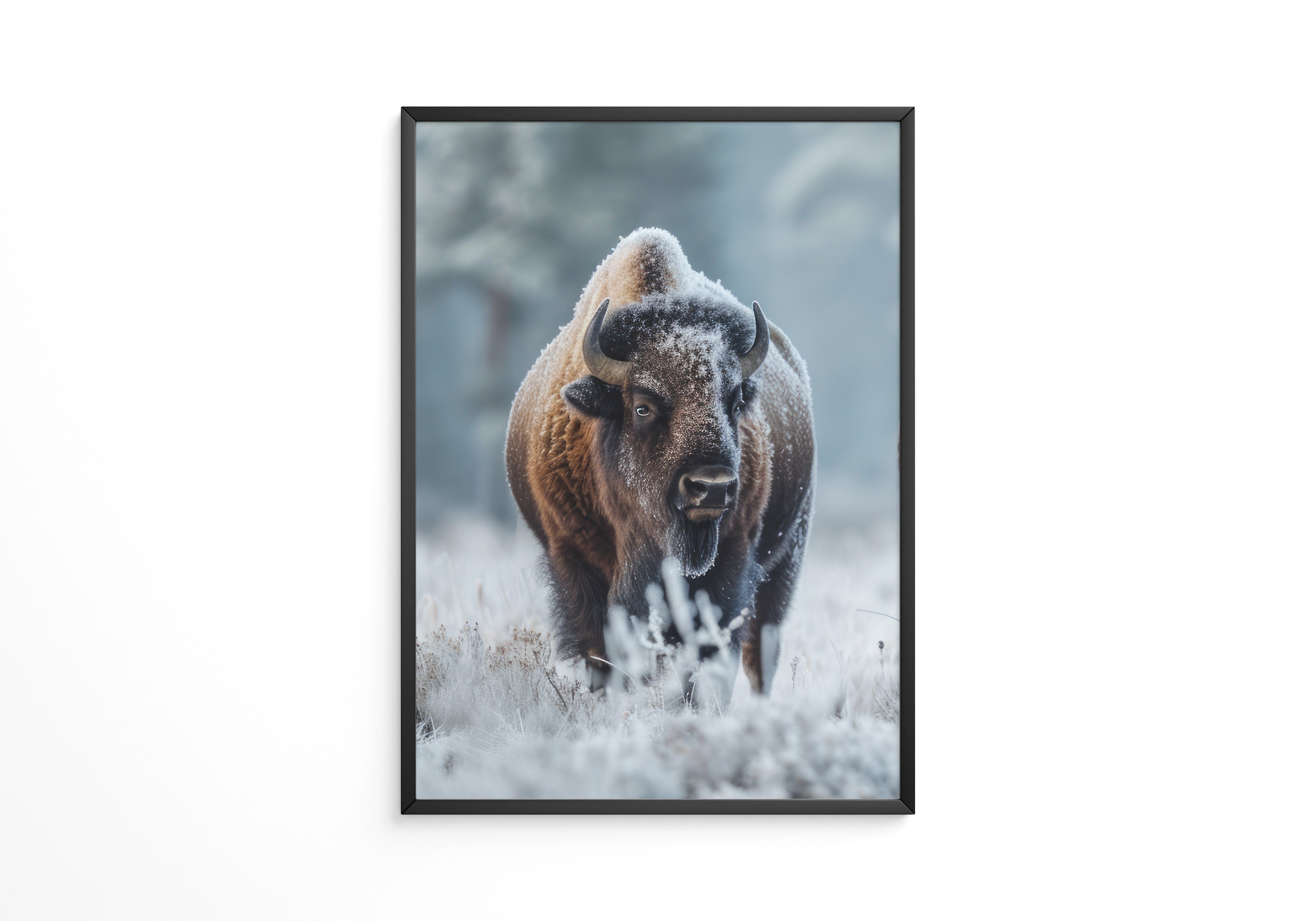 Bison Winterlandschaft Frostig