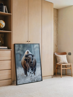 Bison Winterlandschaft Frostig