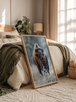 Bison Winterlandschaft Frostig