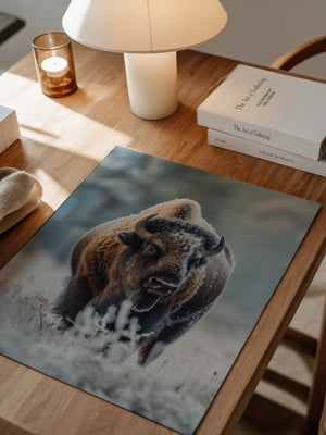 Bison Winterlandschaft Frostig