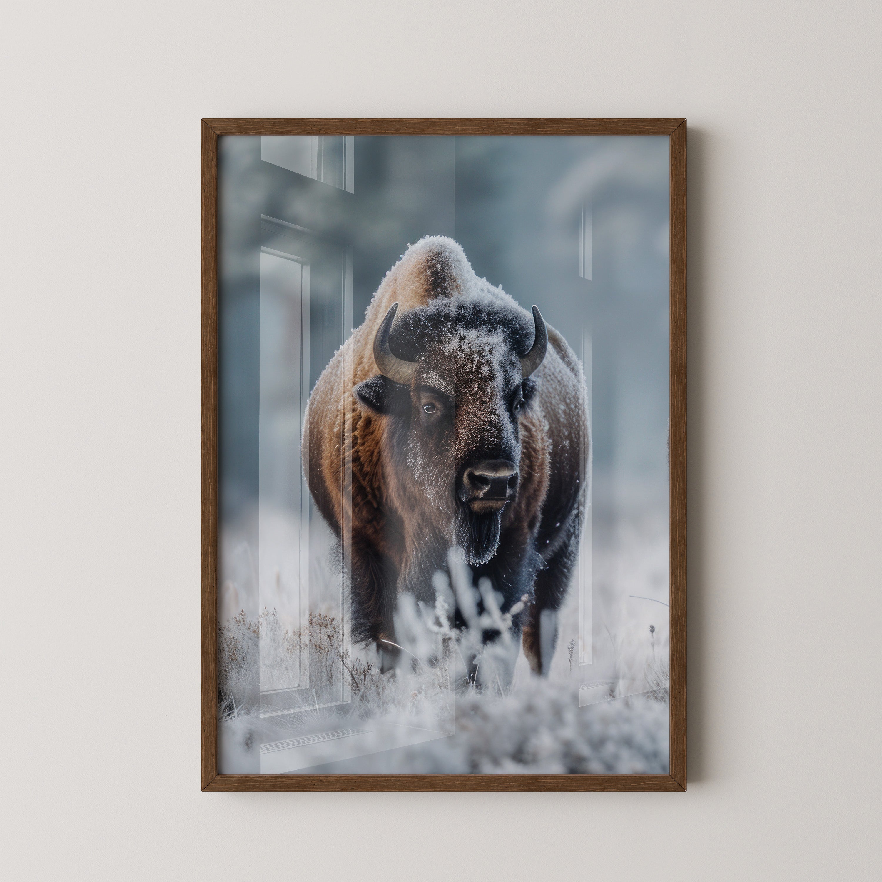 Bison Winterlandschaft Frostig