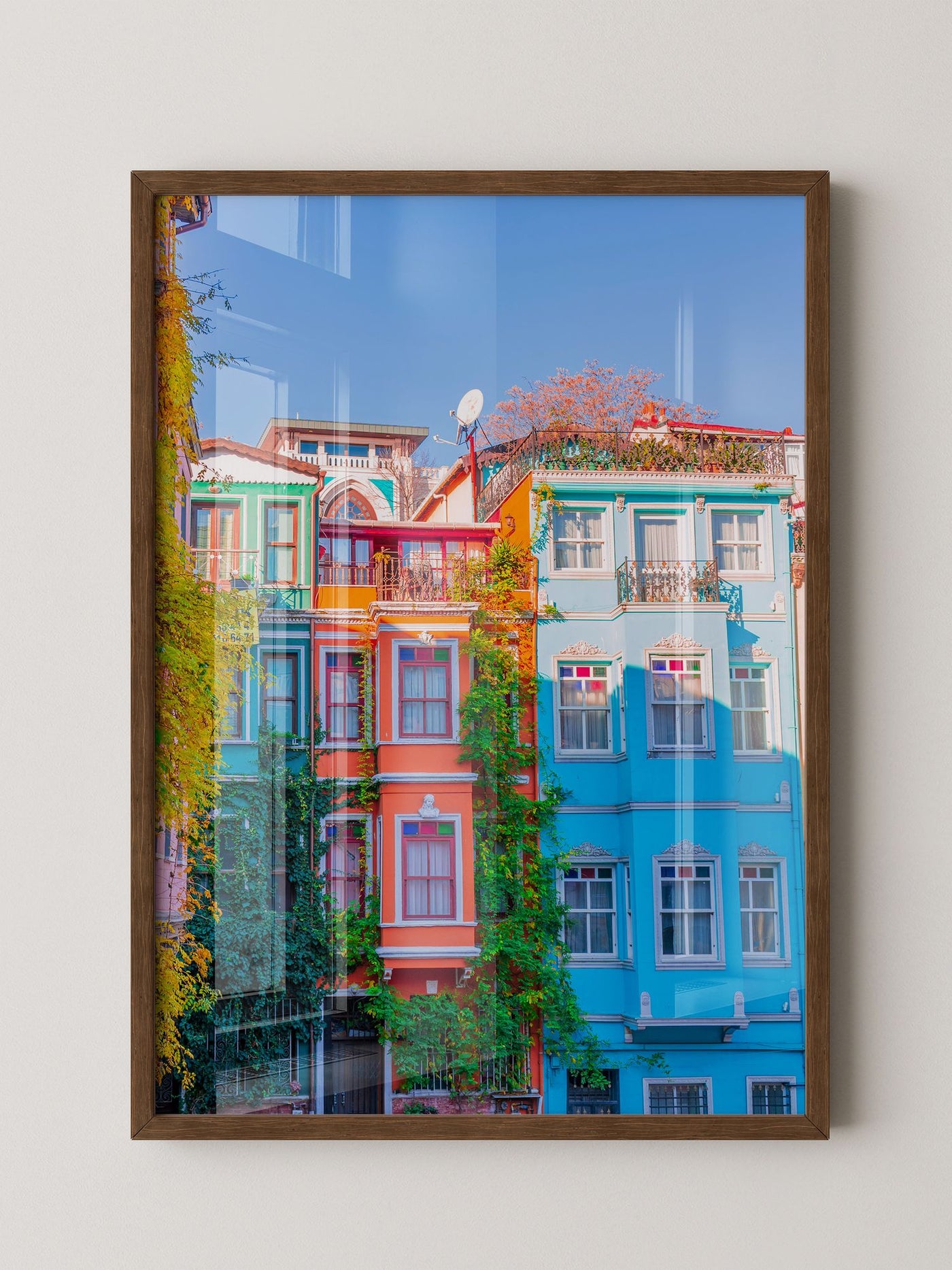Bunte Häuserfassaden Kletterpflanzen
