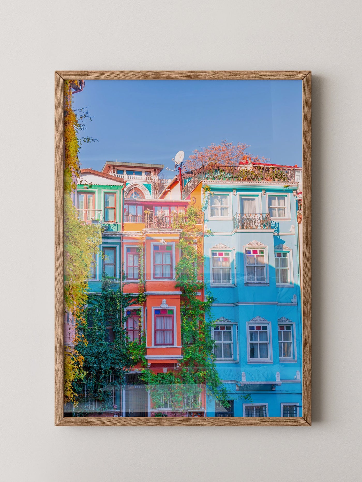 Bunte Häuserfassaden Kletterpflanzen
