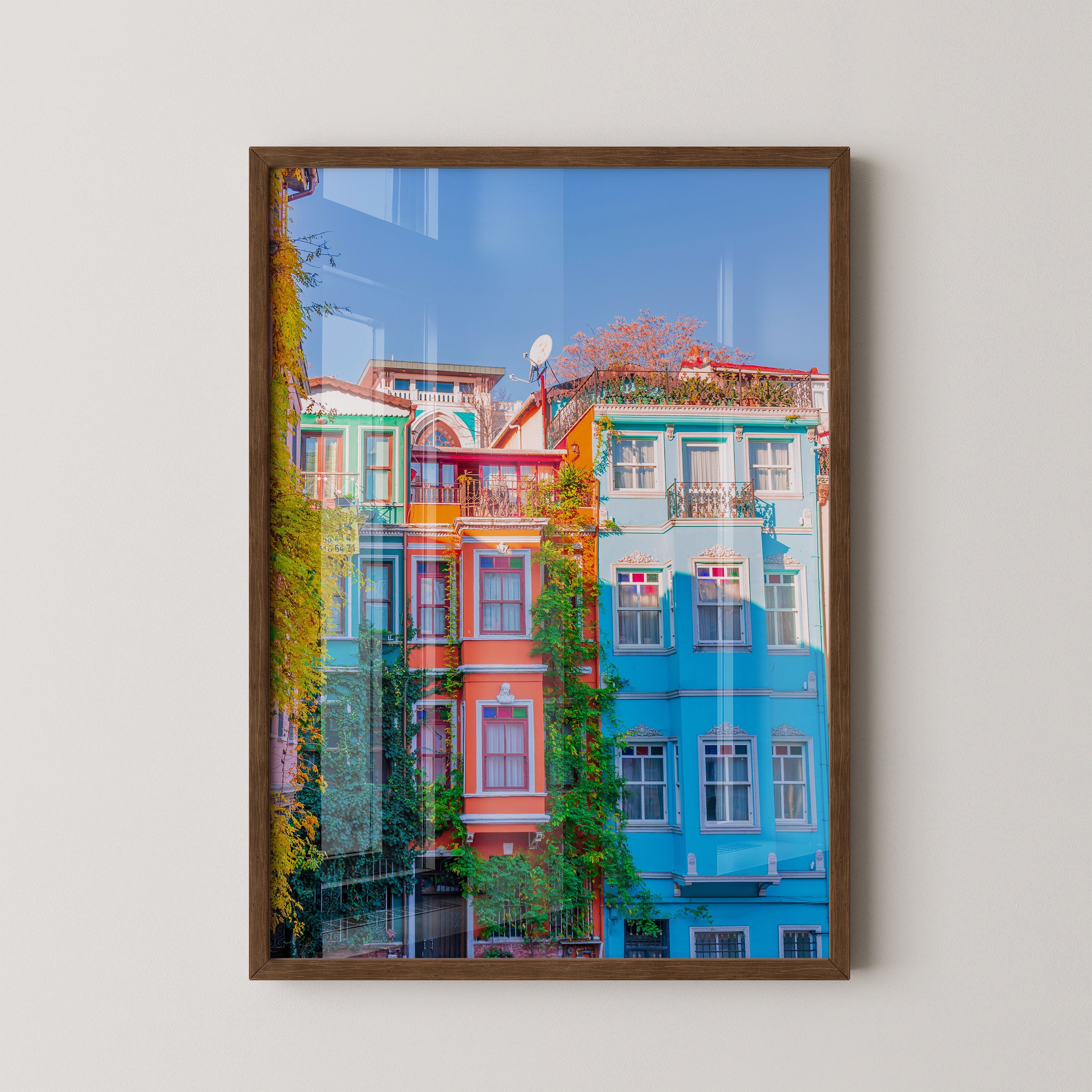 Bunte Häuserfassaden Kletterpflanzen