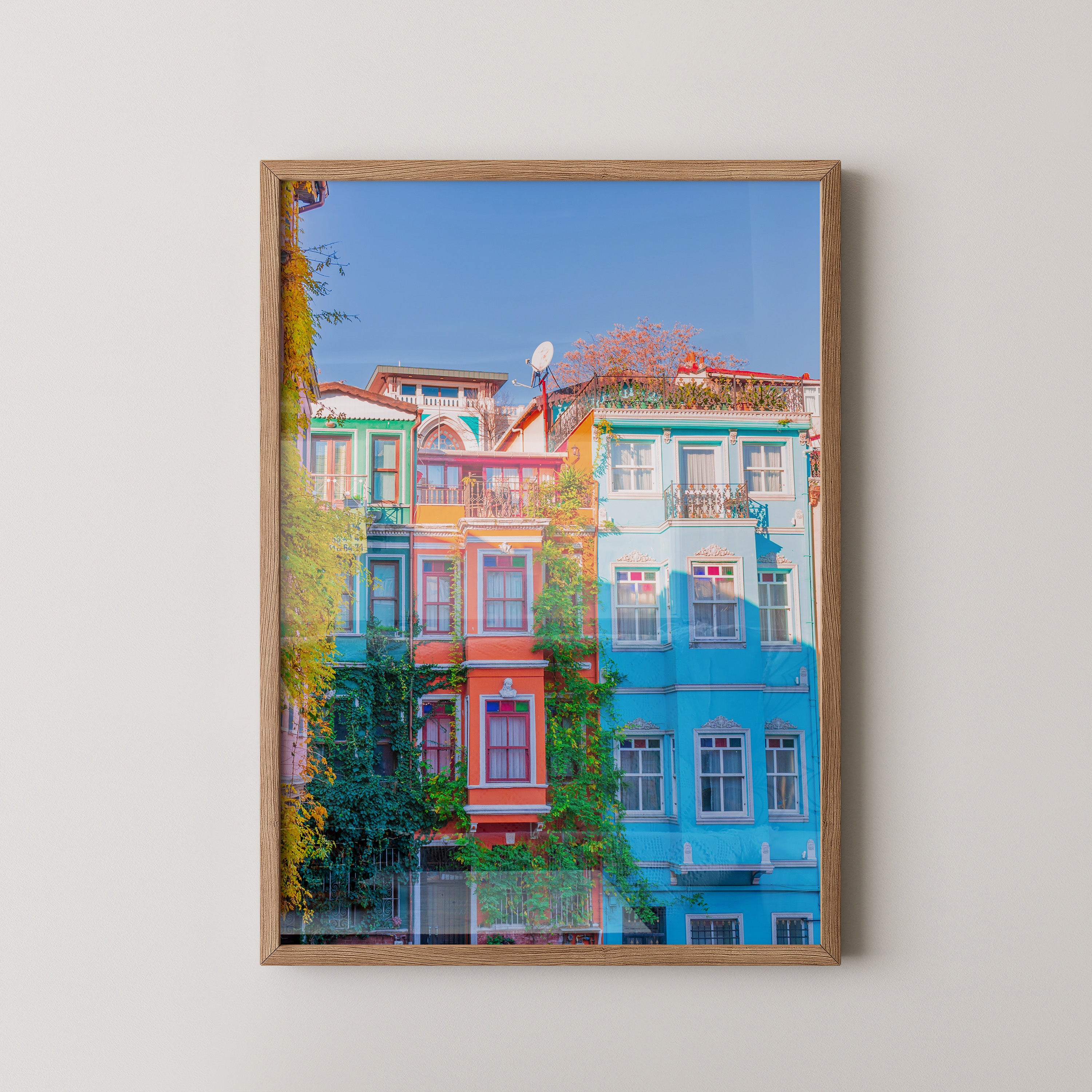 Bunte Häuserfassaden Kletterpflanzen