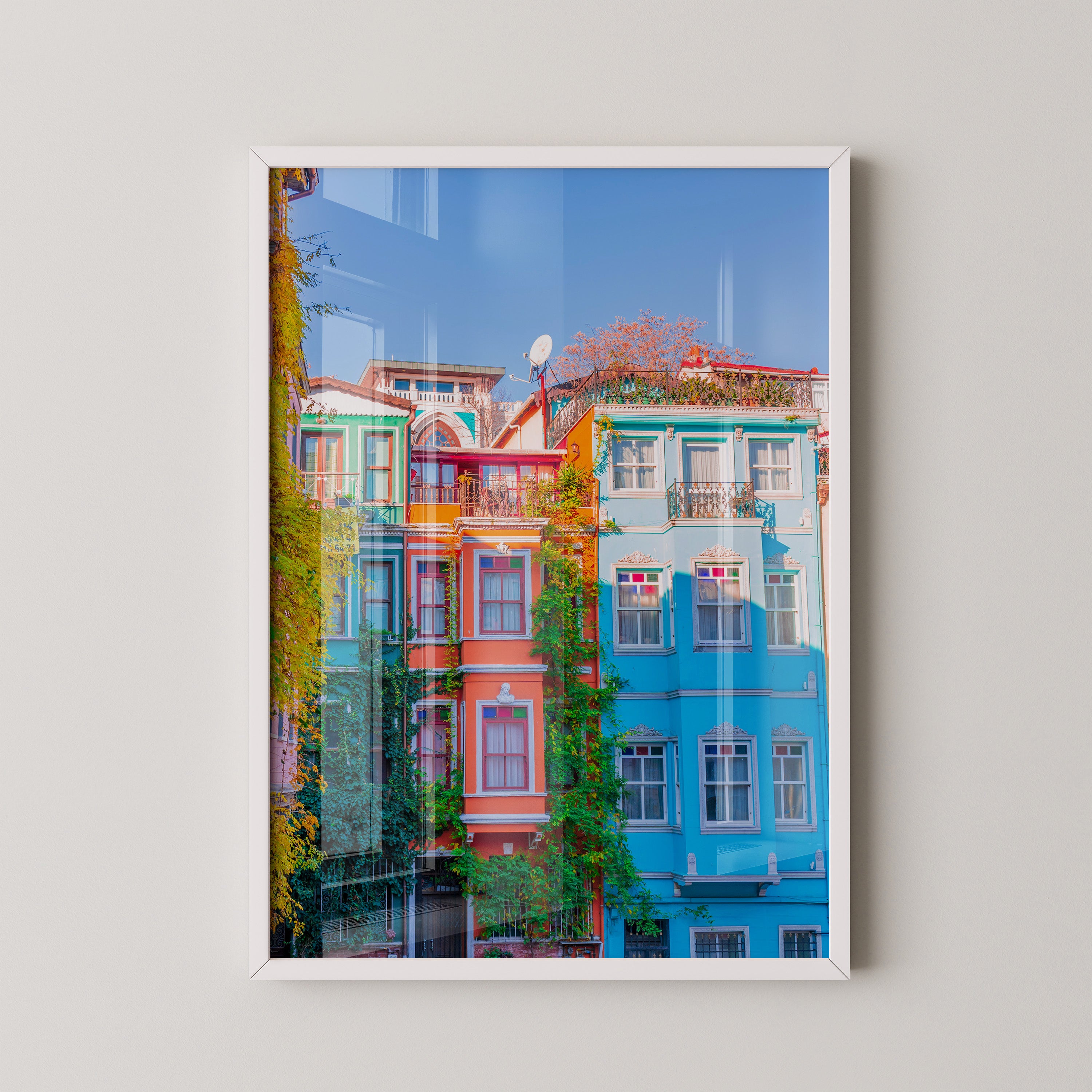 Bunte Häuserfassaden Kletterpflanzen