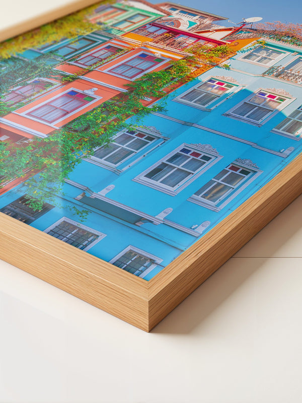 Bunte Häuserfassaden Kletterpflanzen