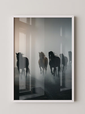 Pferde Galopp Nebelstimmung